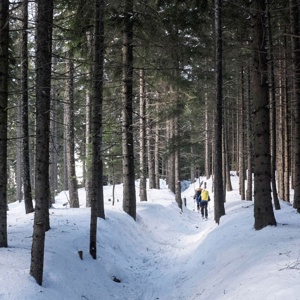Öffi-Skitour auf den Kreuzschober