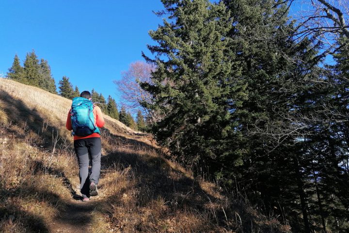 Am Kammweg I. Foto: Sarah Pallauf