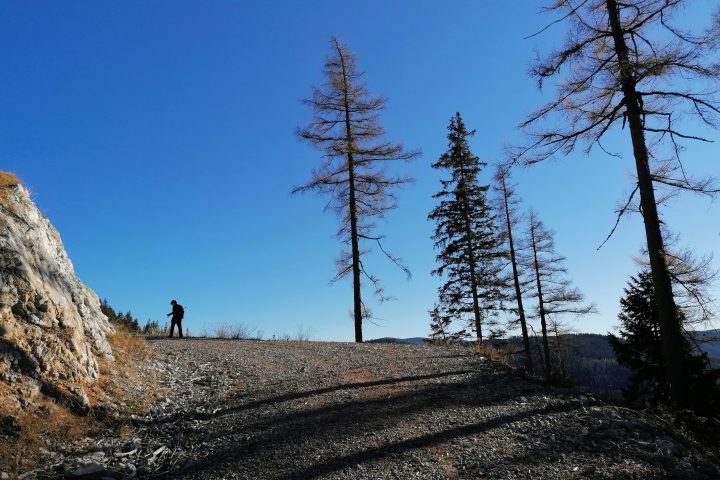 Am Kammweg II. Foto: Sarah Pallauf