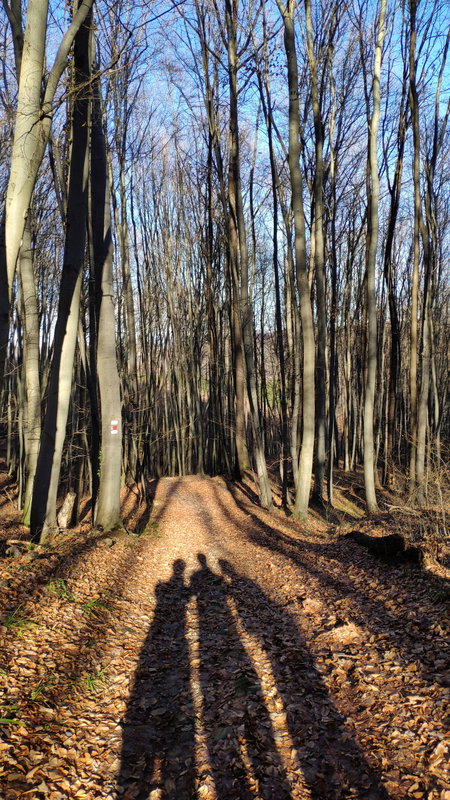 Ein Teil des Wandertrupps. Foto: Birgit Matzinger