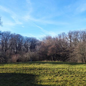 Wienerwald Verbindungsweg Teil 4