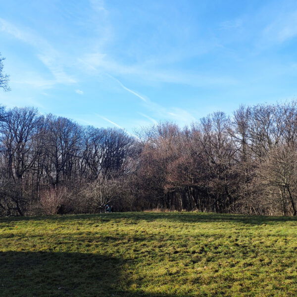 Sonnige Wiese vor dem Hameau. Foto: Birgit Matzinger