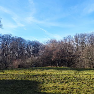 Wienerwald Verbindungsweg Teil 4