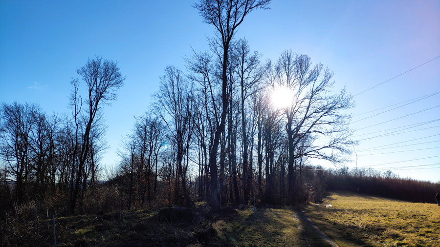 Strahlend blauer Himmel bei der Mostalm. Foto: Birgit Matzinger