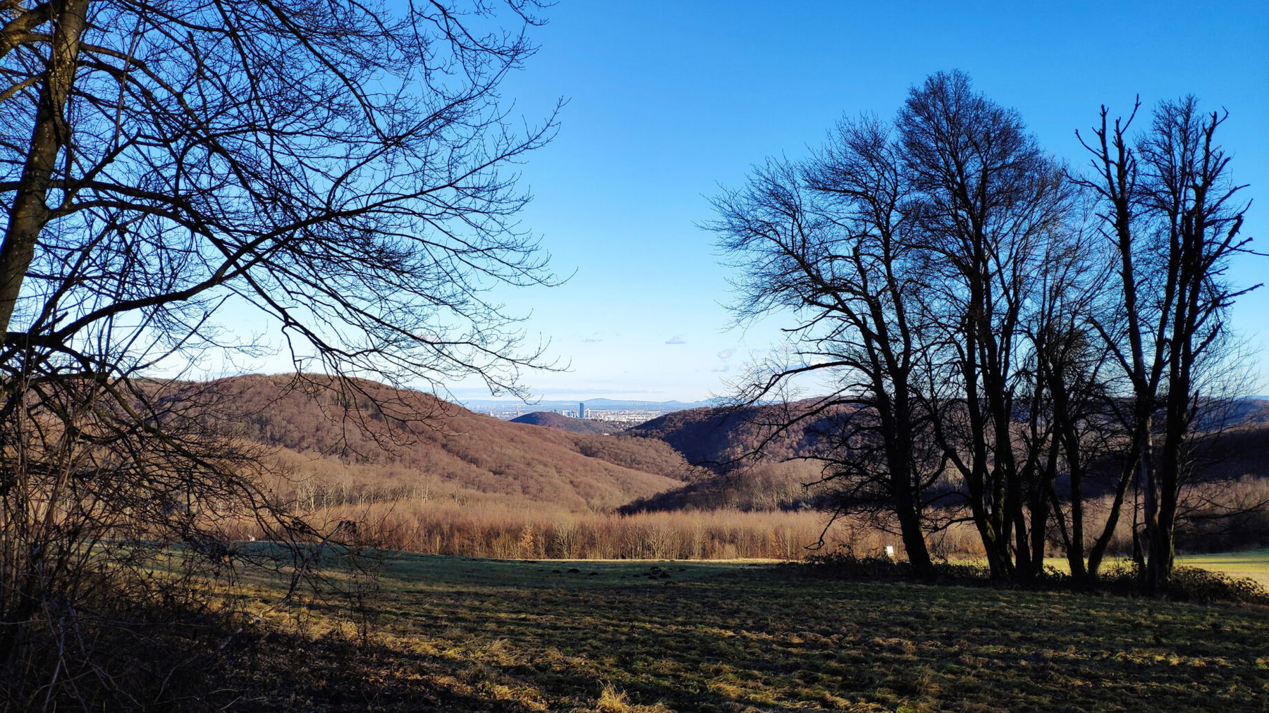 Blick auf Wien. Foto: Birgit Matzinger
