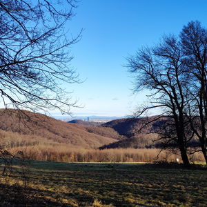 Am Wienerwald Verbindungsweg - Teil 3