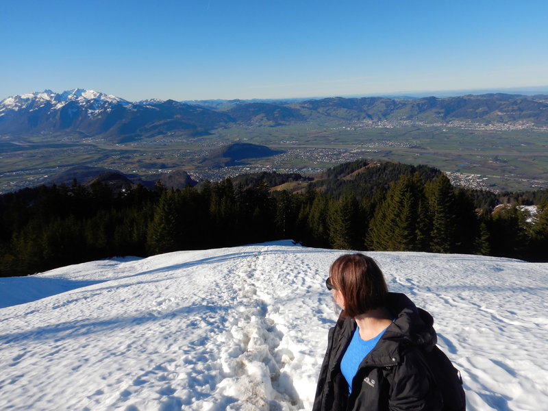 Aus dem Wald heraußen öffnet sich der Blick zurück übers Rheintal. Foto: Didi Trummer.