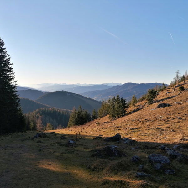 Es geht talwärts… Foto: Sarah Pallauf