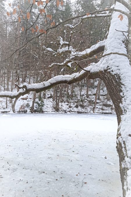Beim kleinen Treimischer Teich. Foto: Birgit Frank