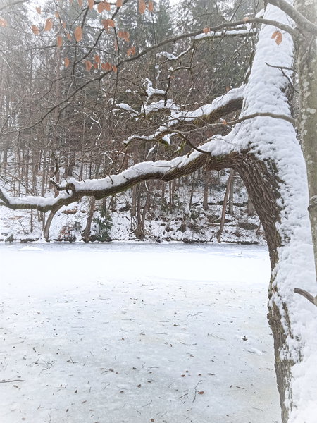 Beim kleinen Treimischer Teich. Foto: Birgit Frank
