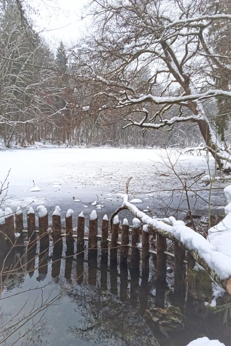 Beim kleinen Treimischer Teich. Foto: Birgit Frank