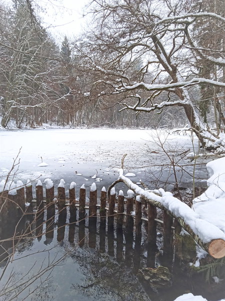 Beim kleinen Treimischer Teich. Foto: Birgit Frank