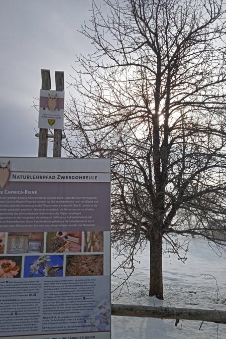 Endlich über der Nebelgrenze. Foto: Birgit Frank