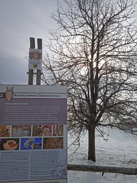 Endlich über der Nebelgrenze. Foto: Birgit Frank