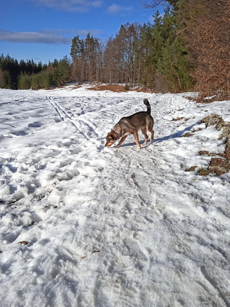 Schnee und Sonne. Foto: Birgit Frank