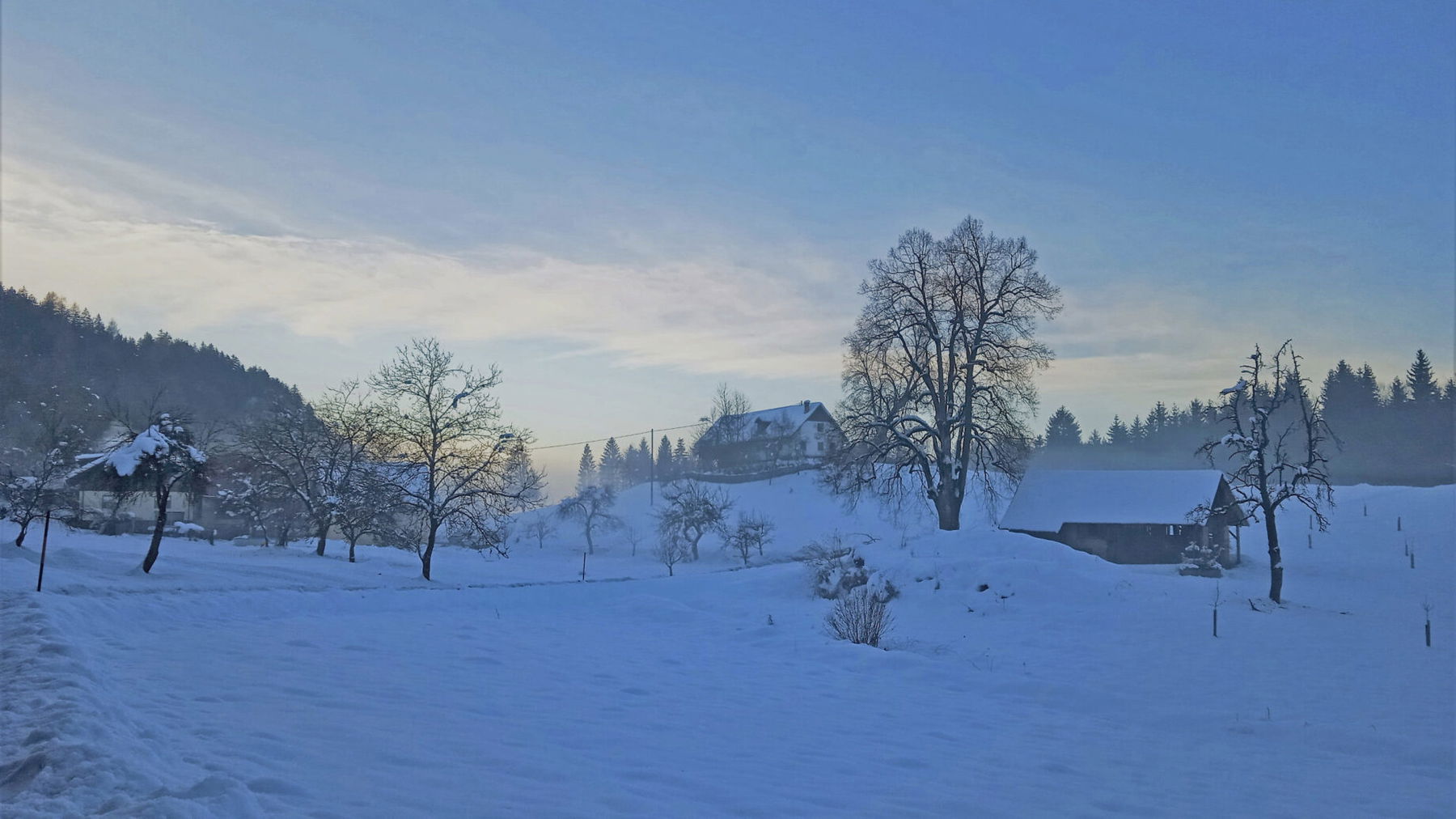 Opferholz am Abend. Foto: Birgit Frank