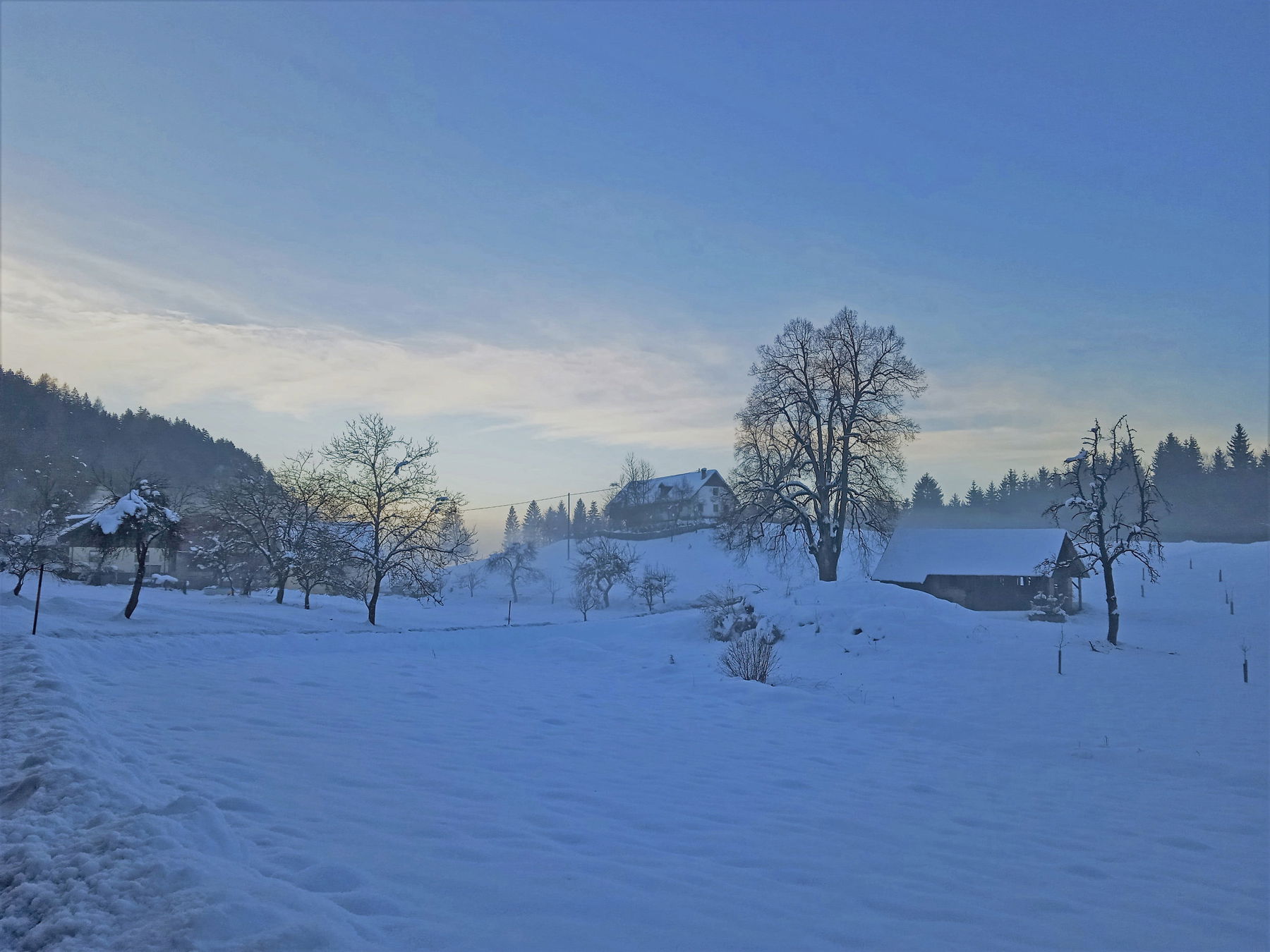 Winterwanderung auf den Plöschenberg