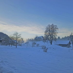 Winterwanderung auf den Plöschenberg