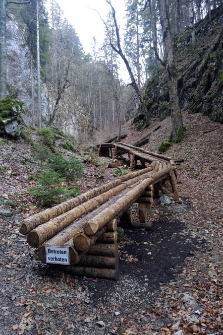 Holzriese. Foto: Simon Widy