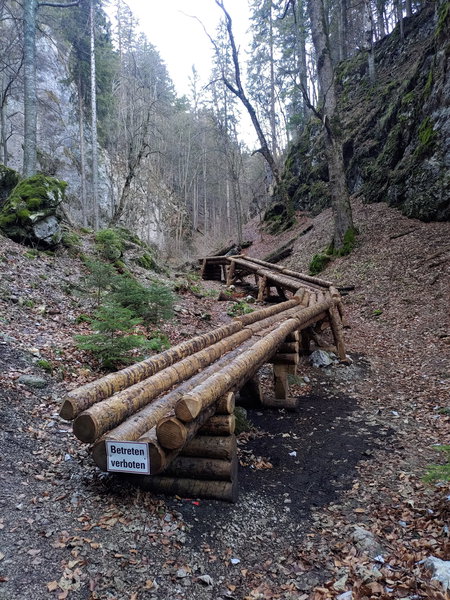 Holzriese. Foto: Simon Widy