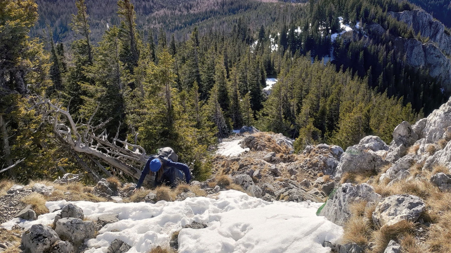 Am Weg zum Gipfel des Krummbachsteins 2. Foto: Simon Widy