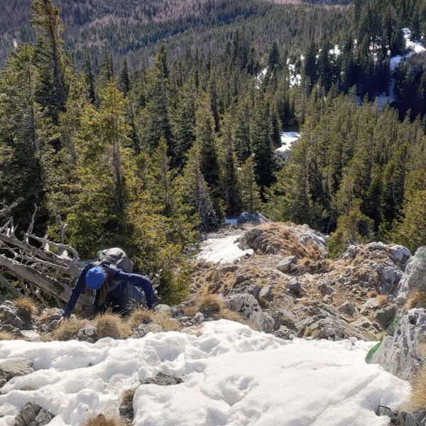 Am Weg zum Gipfel des Krummbachsteins 2. Foto: Simon Widy