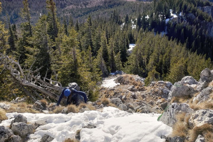 Am Weg zum Gipfel des Krummbachsteins 2. Foto: Simon Widy