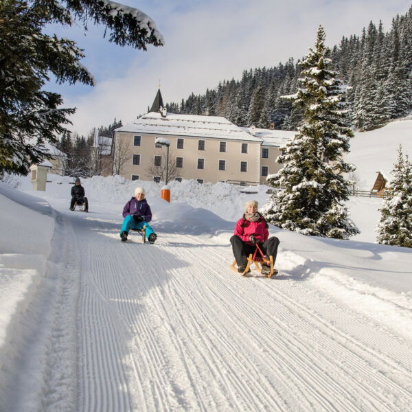 Titelbild Waldrast Rodeln. Foto: Tourismusverband Wipptal