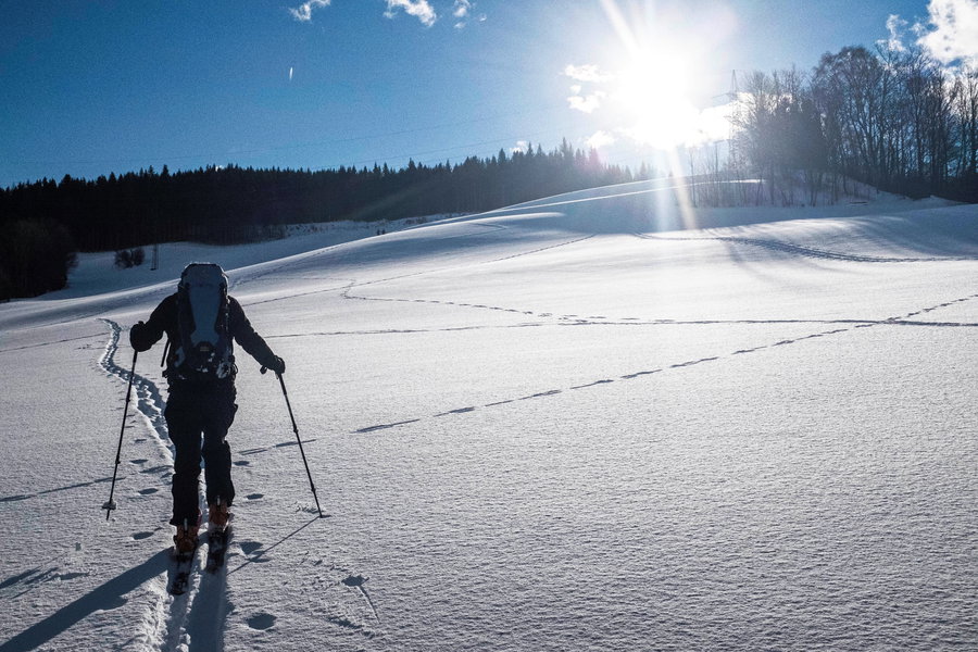 Querung über die Wiese unter der Seilbahn. Foto: Birgit Reiter
