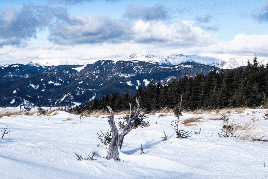 Veitsch, Schneealpe, Rax. Foto: Birgit Reiter