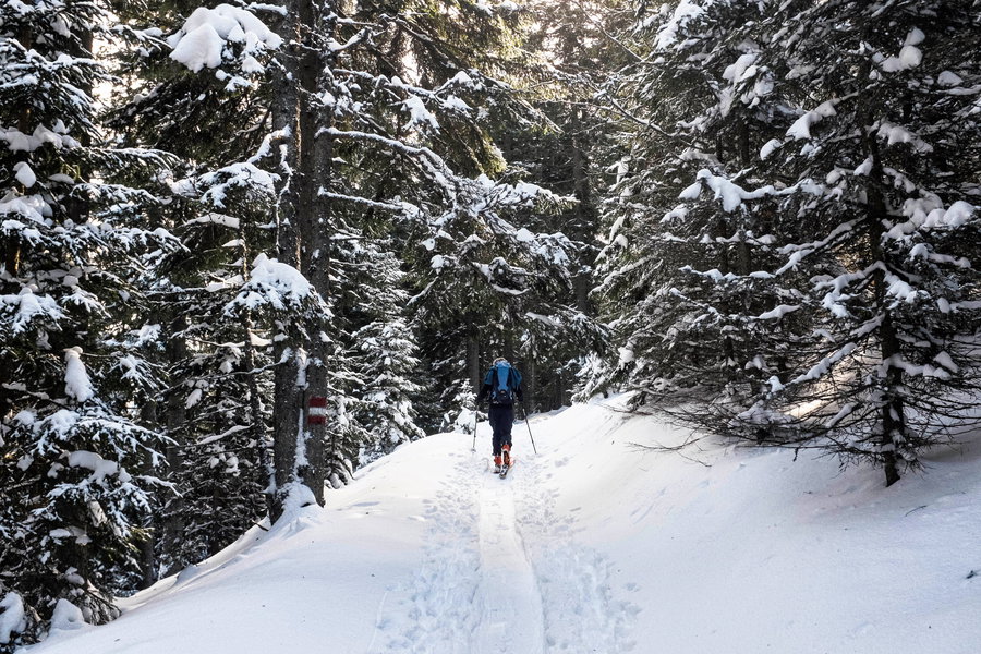 Winterwonderland. Foto: Birgit Reiter