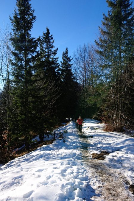 Impressionen entlang des Weges. Foto: Tobias Hecht