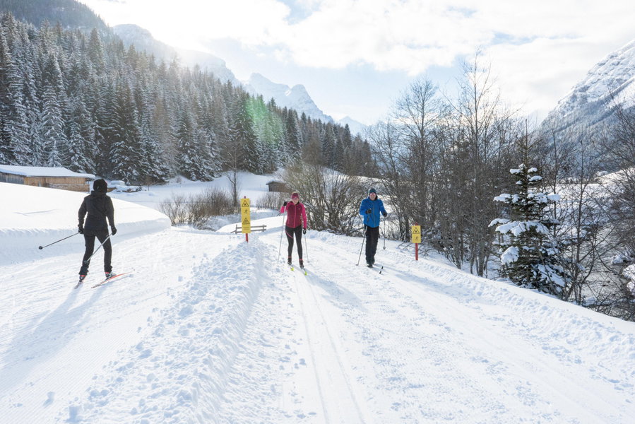 Auf der Gschnitztal Loipe bei Trins mit herrlichem Panorama. Foto: Tourismusverband Wipptal