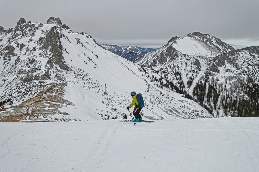 David legt die Spur. Foto: Martin Heppner