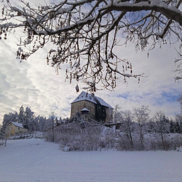 Schloss Moosburg. Foto: Birgit Frank