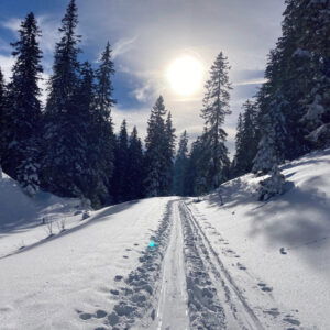 Sturmsicher auf den Kuhschneeberg