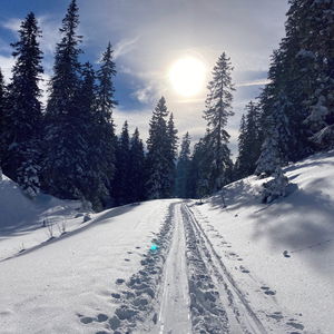 Sturmsicher auf den Kuhschneeberg