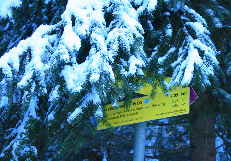Verstecktes Schild. Foto: Birgit  Frank