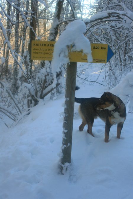 Ja, da sind wir richtig. Foto: Birgit Frank