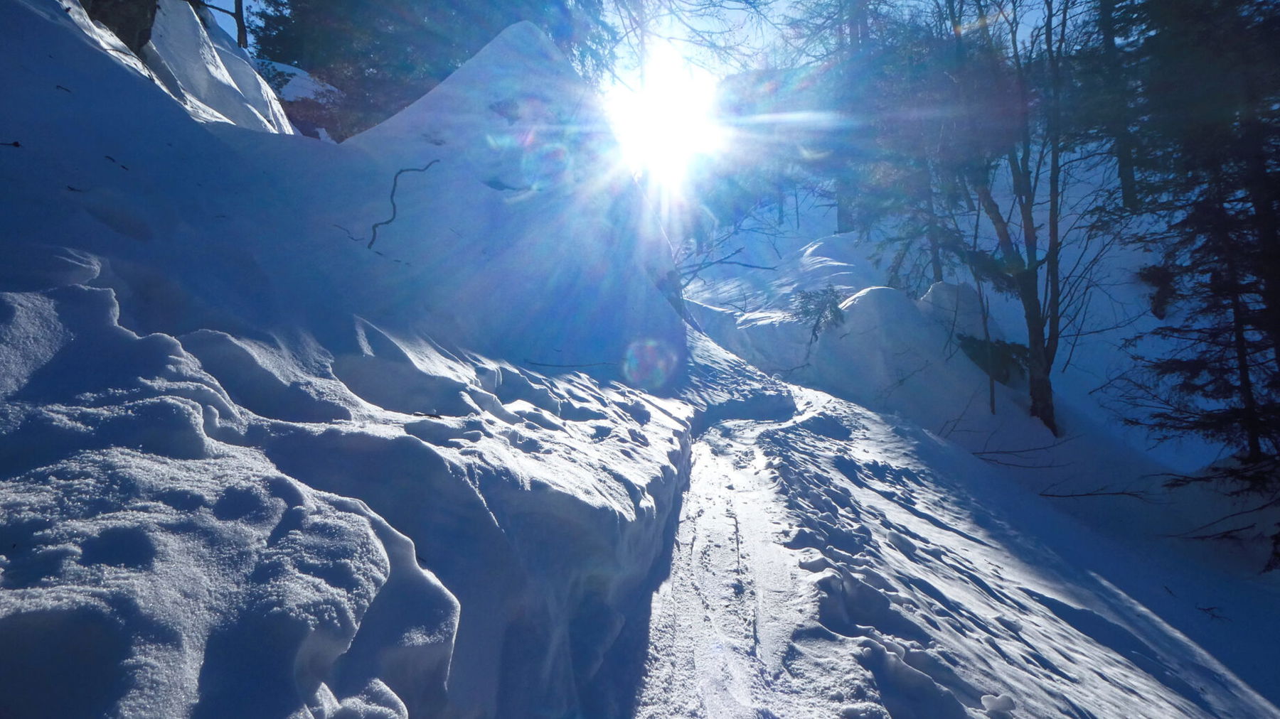 Skitourenspur vor der Berglerhütte auf den Wieselstein. Foto: Karl Plohovich