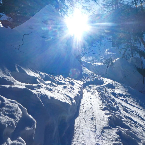 Skitourenspur vor der Berglerhütte auf den Wieselstein. Foto: Karl Plohovich