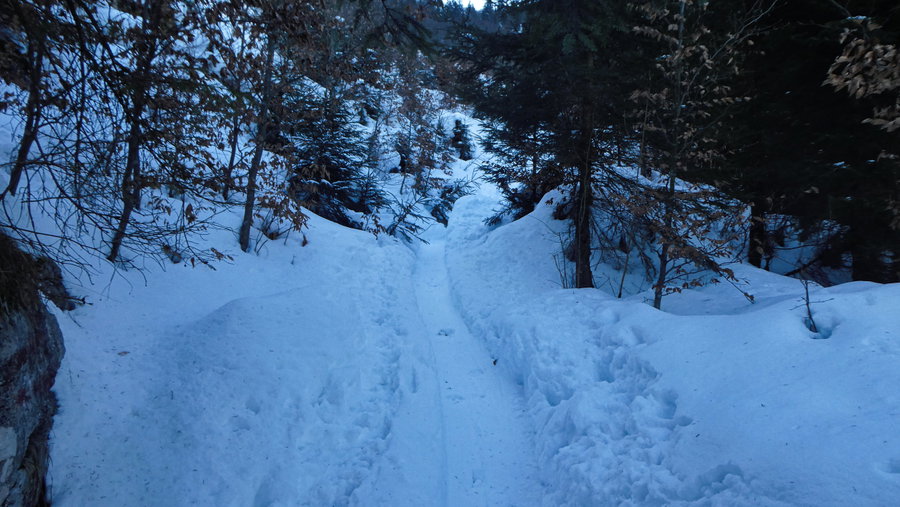 Zum Glück eine Aufstiegsspur. Foto: Karl Plohovich