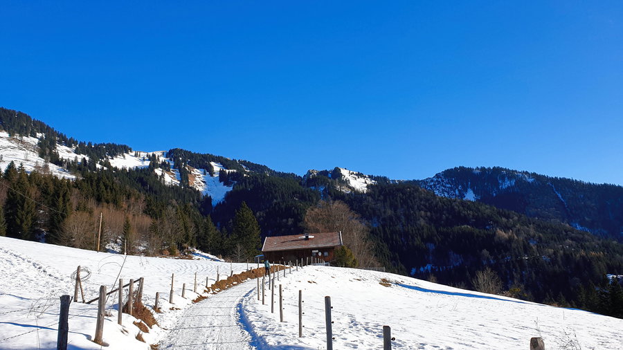 Aufstieg. Foto: Markus Büchler