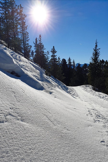 Foto: Markus Büchler