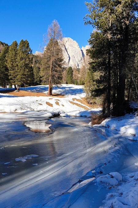 Foto: Markus Büchler