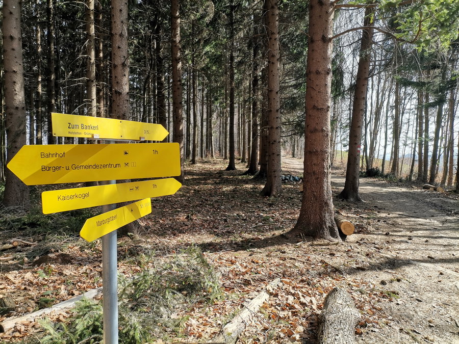 Zum Bankerl geht es gerade aus weiter - zum Kaiserkogel auch. Foto Veronika Schöll