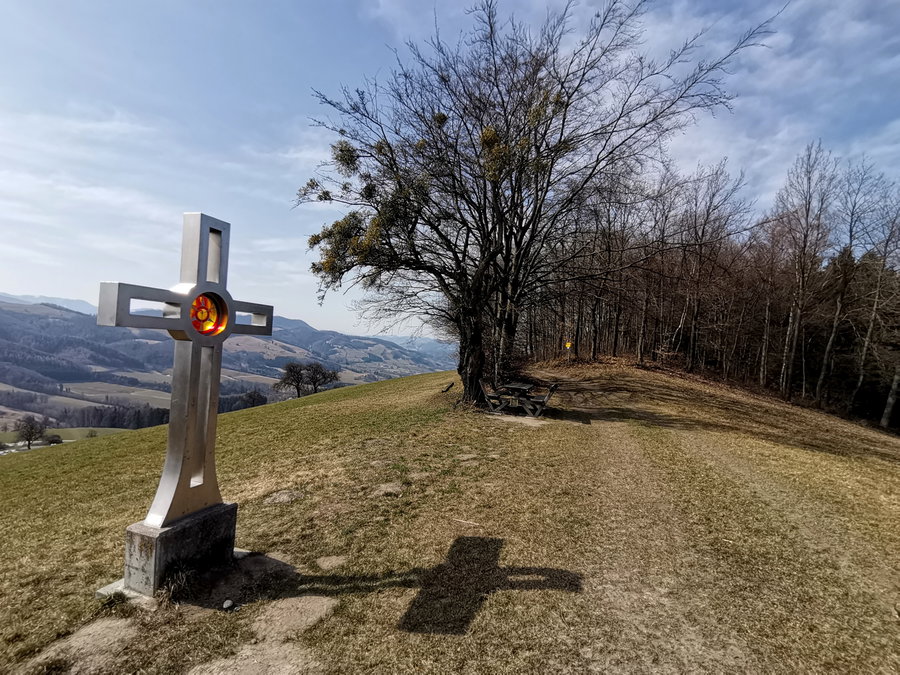 Auf der Plambachecker Höhe. Foto Veronika Schöll