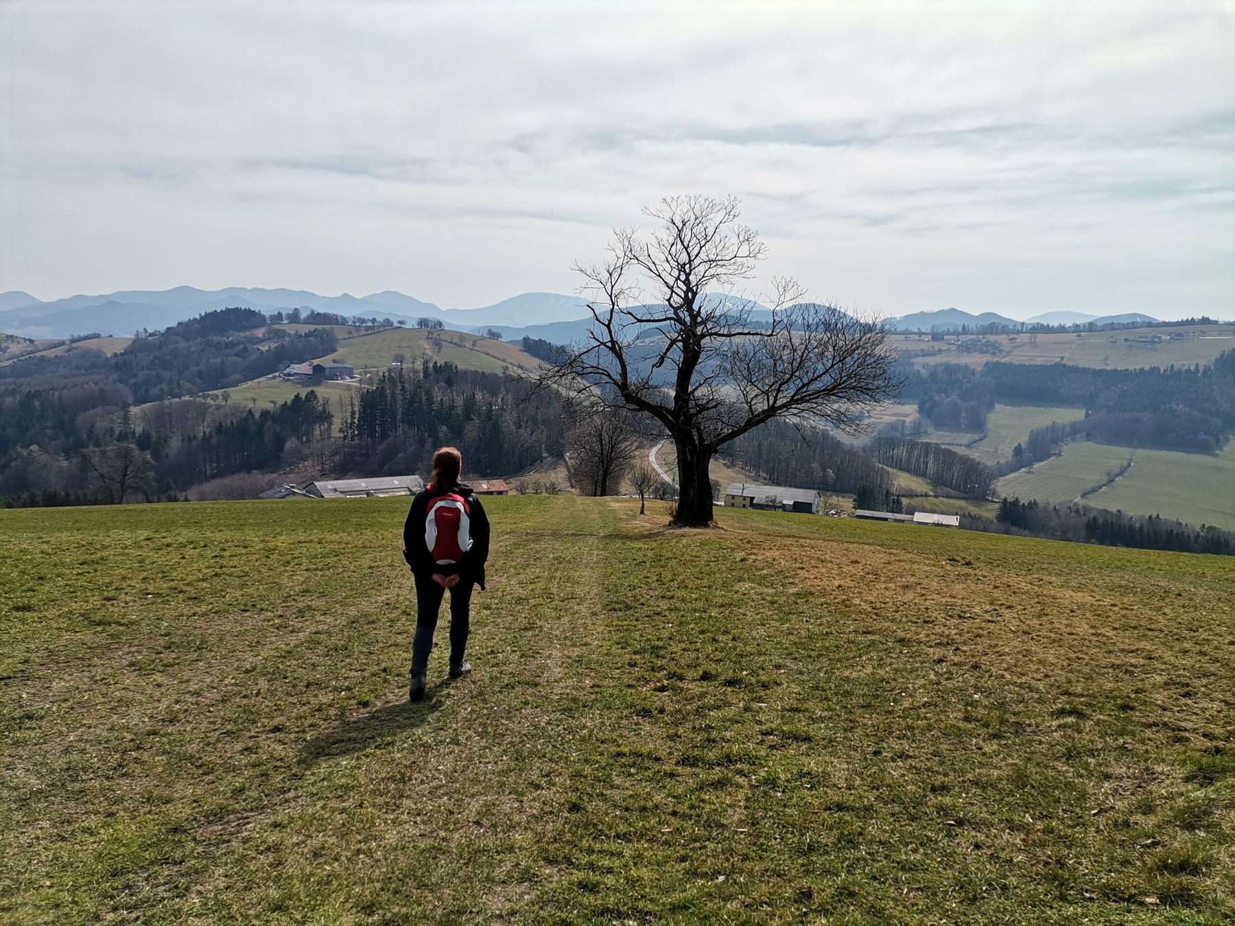 Gemütlich von Hofstetten nach Rabenstein