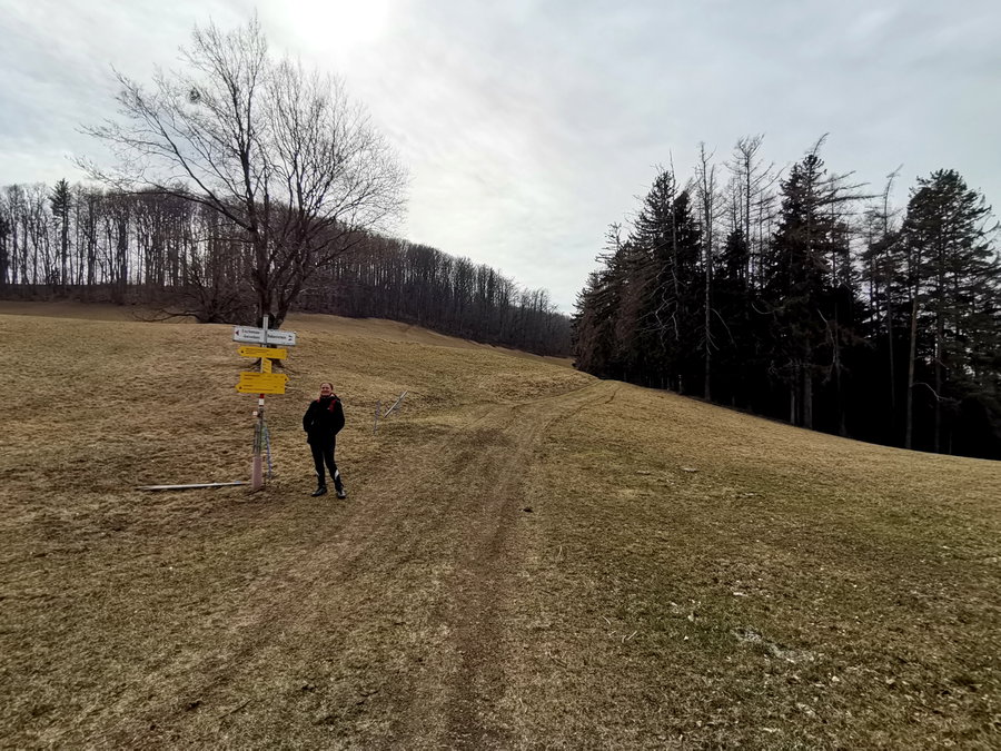 Am Scheitelpunkt des Rabensteiner Rundwegs. Foto Veronika Schöll