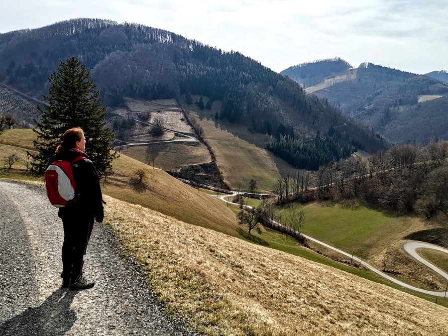 Wo geht es weiter? Runter zur Luccamühle? Oder rüber Richtung Taubenstein? Foto Veronika Schöll